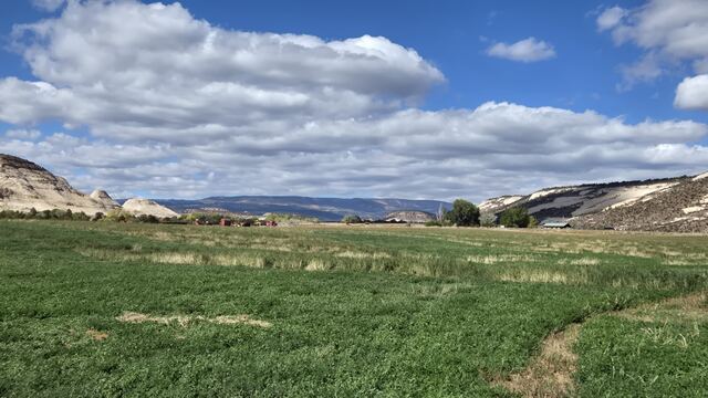 Helaman Hills property photo 1