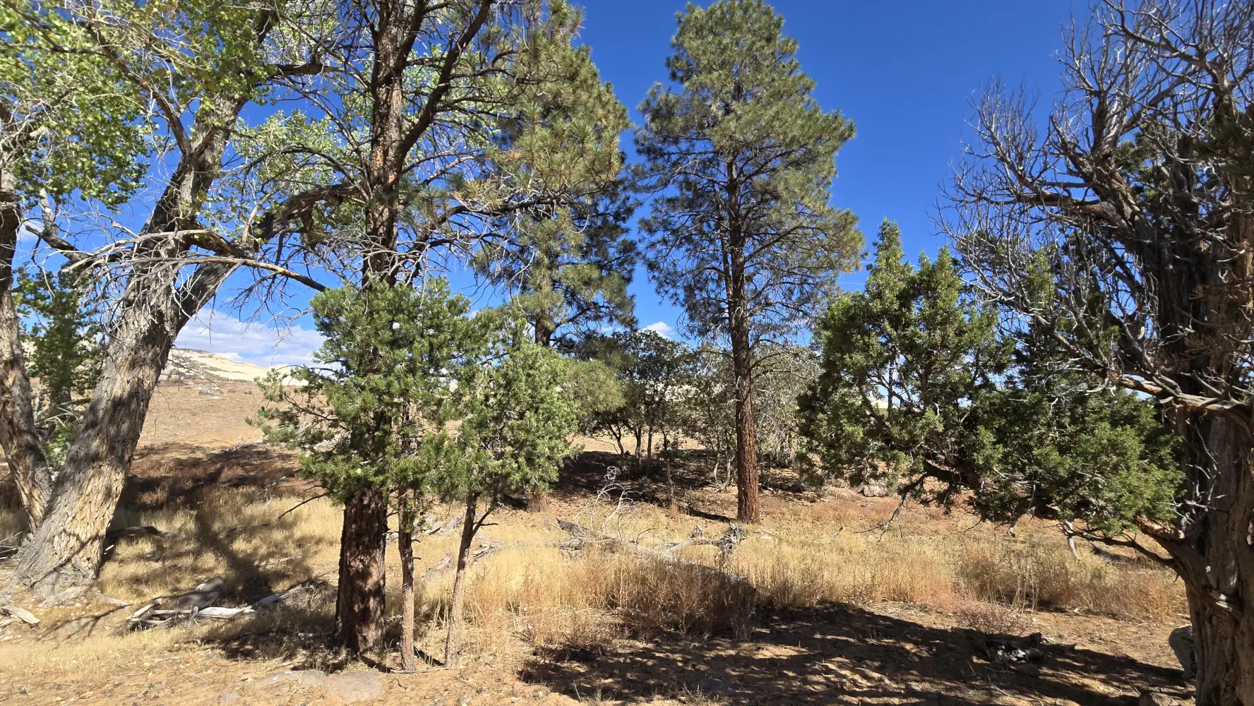 Open land and red rock landscape near Helaman Hills
